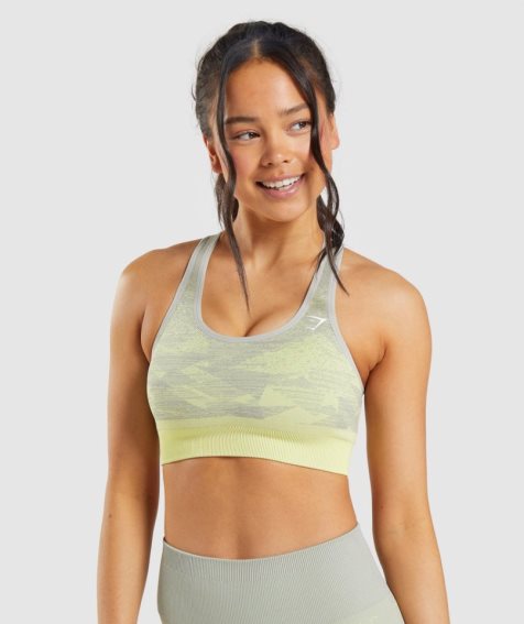 Gymshark Adapt Ombre Seamless Sport Bh Damen Grau | 04126MQJY