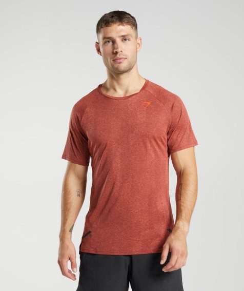 Gymshark Apex T-shirts Herren Braun | 16378GBYX