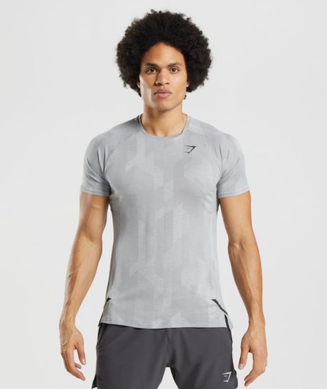 Gymshark Apex T-shirts Herren Hellgrau | 05297RZUN