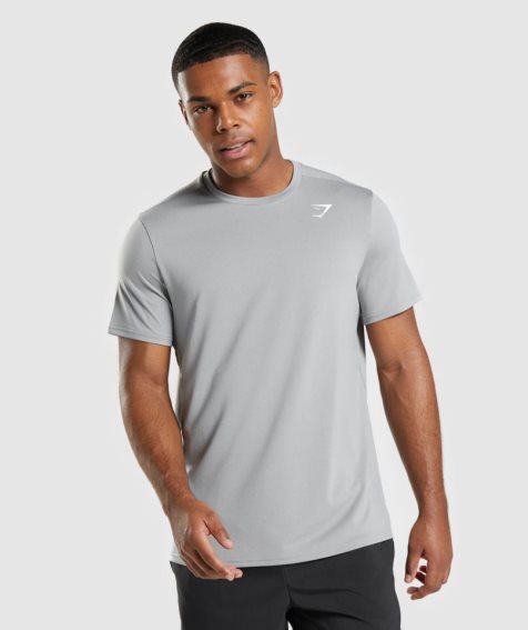 Gymshark Arrival Regular Fit T-shirts Herren Hellgrau | 42139INZQ