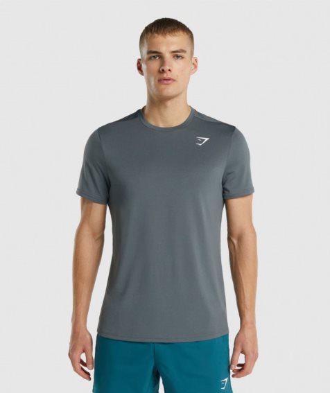 Gymshark Arrival Regular Fit T-shirts Herren Grau | 48902VQGM