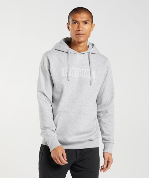 Gymshark Block Hoodie Herren Hellgrau | 71089GLYD