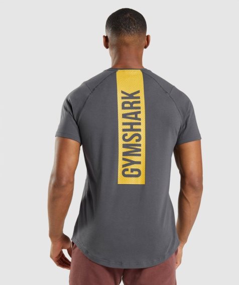 Gymshark Bold T-shirts Herren Dunkelgrau | 76340WJNX