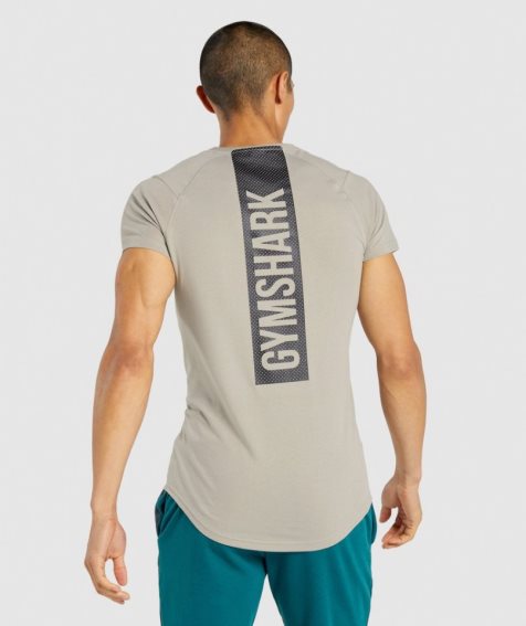 Gymshark Bold T-shirts Herren Grau | 14659HGLJ