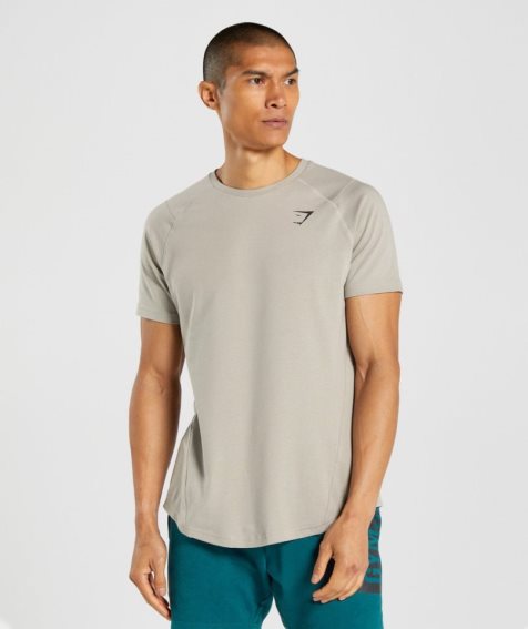 Gymshark Bold T-shirts Herren Grau | 41579WFQC