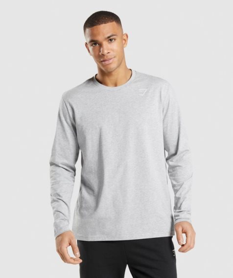 Gymshark Crest Long Sleeve T-shirts Herren Hellgrau | 51023HWPU