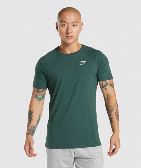 Gymshark Critical 2.0 T-shirts Herren Dunkelgrün | 85317TWFN