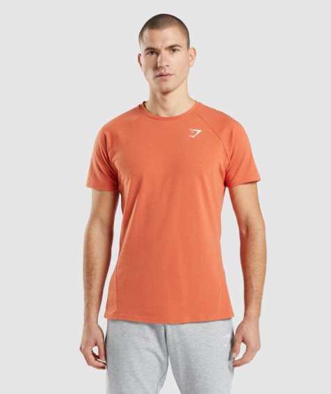 Gymshark Critical T-shirts Herren Orange | 87219QJST