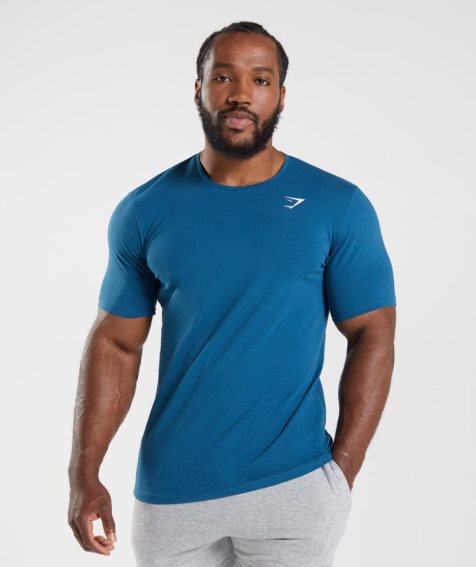 Gymshark Essential T-shirts Herren Blau | 51746NZDV