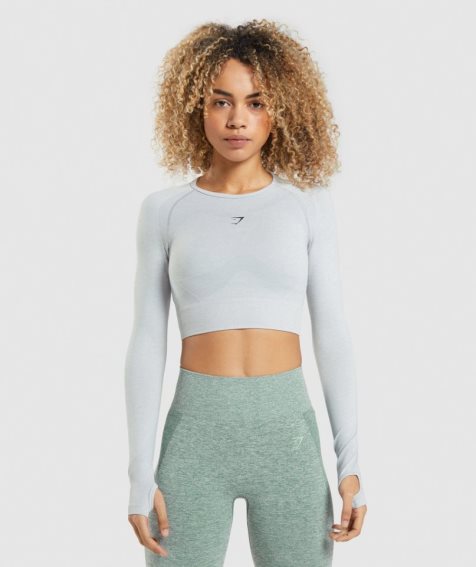 Gymshark Flex Sports Long Sleeve Kurz Geschnittene Oberteile Damen Hellgrau | 98103PCUJ