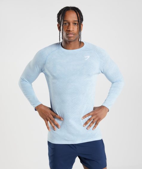 Gymshark Geo Seamless Long Sleeve T-shirts Herren Hellblau | 15736TEMX