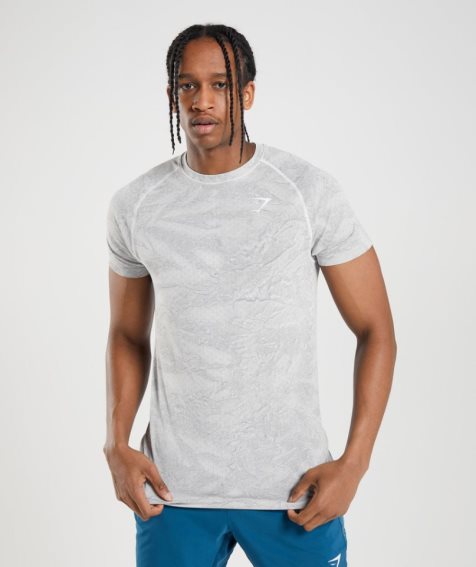 Gymshark Geo Seamless T-shirts Herren Hellgrau | 24567XIRT