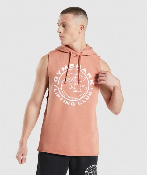 Gymshark Legacy Drop Arm Hoodie Herren Rosa | 63219PMZF