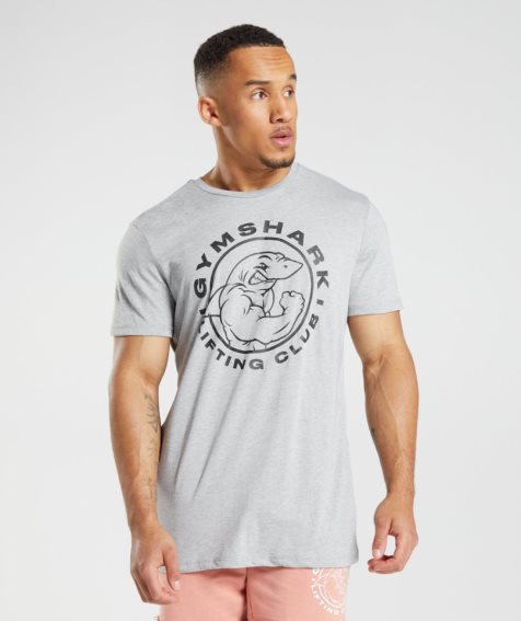 Gymshark Legacy T-shirts Herren Hellgrau | 72931BDZV