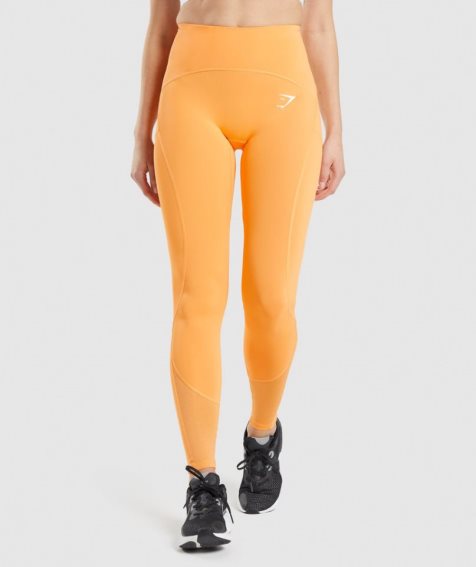 Gymshark Pulse Mesh Leggings Damen Orange | 46983CBPF