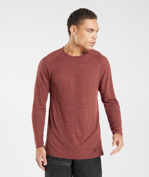 Gymshark Retake Seamless Long Sleeve T-shirts Herren Braun | 01246IGZL