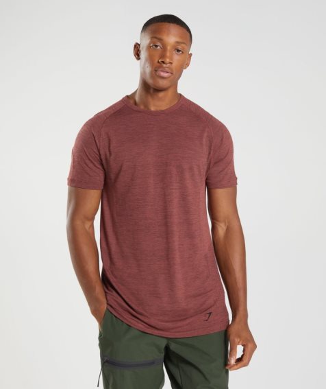 Gymshark Retake Seamless T-shirts Herren Rosa | 89745DGKN