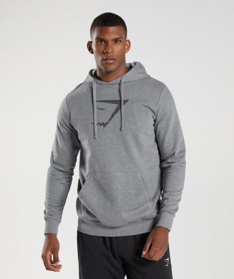 Gymshark Sharkhead Infill Hoodie Herren Grau | 53142YTRH