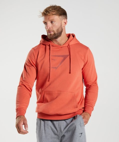 Gymshark Sharkhead Infill Hoodie Herren Orange | 61439PMEA