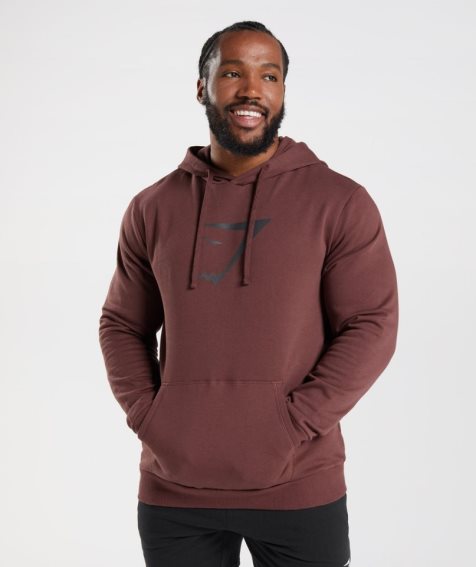 Gymshark Sharkhead Infill Hoodie Herren Braun | 81759META