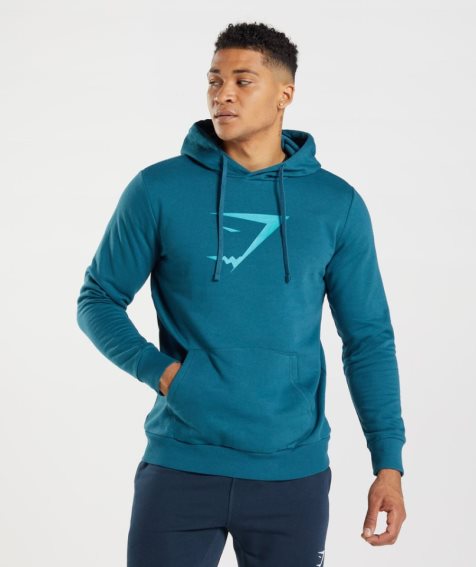 Gymshark Sharkhead Infill Hoodie Herren Blau | 94032ZBVI