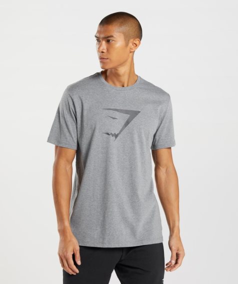 Gymshark Sharkhead Infill T-shirts Herren Grau | 65749ANUX