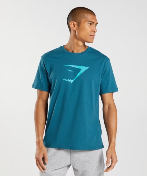 Gymshark Sharkhead Infill T-shirts Herren Türkis | 70128DOVB