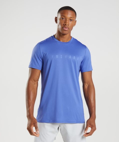 Gymshark Sport Stripe T-shirts Herren Blau | 70631HOYN