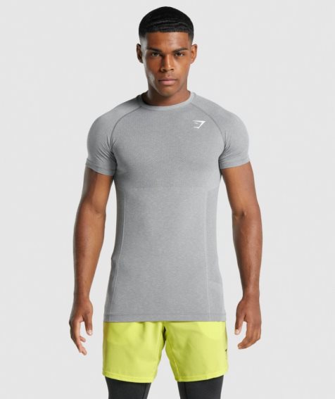 Gymshark Vital Light Seamless T-shirts Herren Grau | 07628TSCW