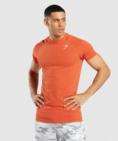 Gymshark Vital Light Seamless T-shirts Herren Orange | 18967QPXF