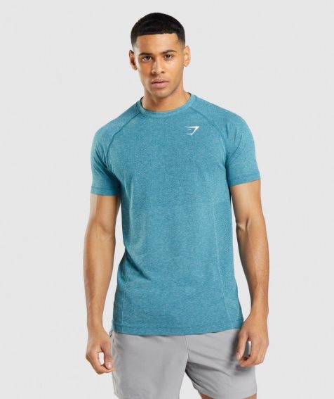 Gymshark Vital Light Seamless T-shirts Herren Türkis | 80321TVRX