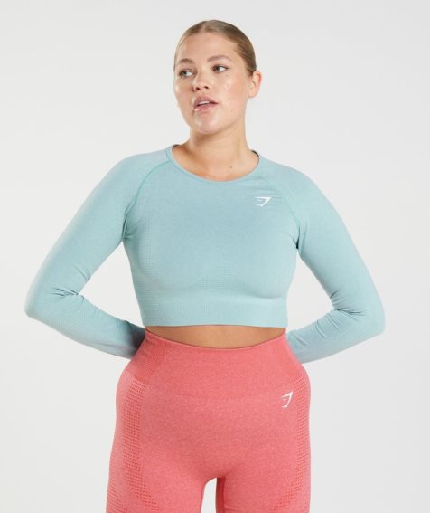 Gymshark Vital Seamless 2.0 Kurz Geschnittene Oberteile Damen Hellblau | 21605FGOQ