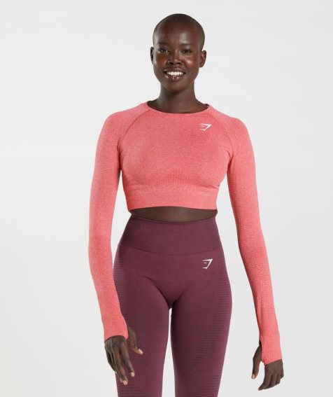 Gymshark Vital Seamless 2.0 Kurz Geschnittene Oberteile Damen Rosa | 24381CALS