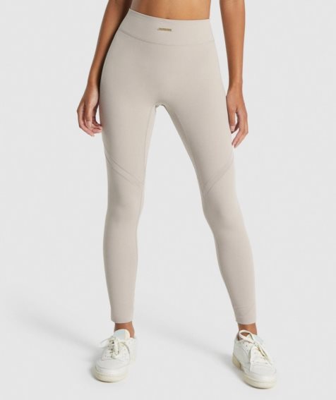 Gymshark Whitney Mesh Leggings Damen Hellgrau | 26398OAUR