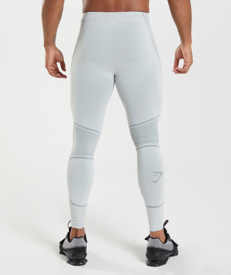 Gymshark 315 Seamless Leggings Herren Hellgrau | 74053KWUS