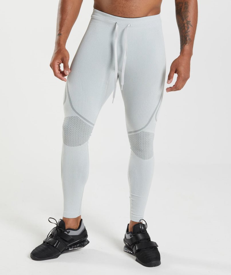 Gymshark 315 Seamless Leggings Herren Hellgrau | 74053KWUS