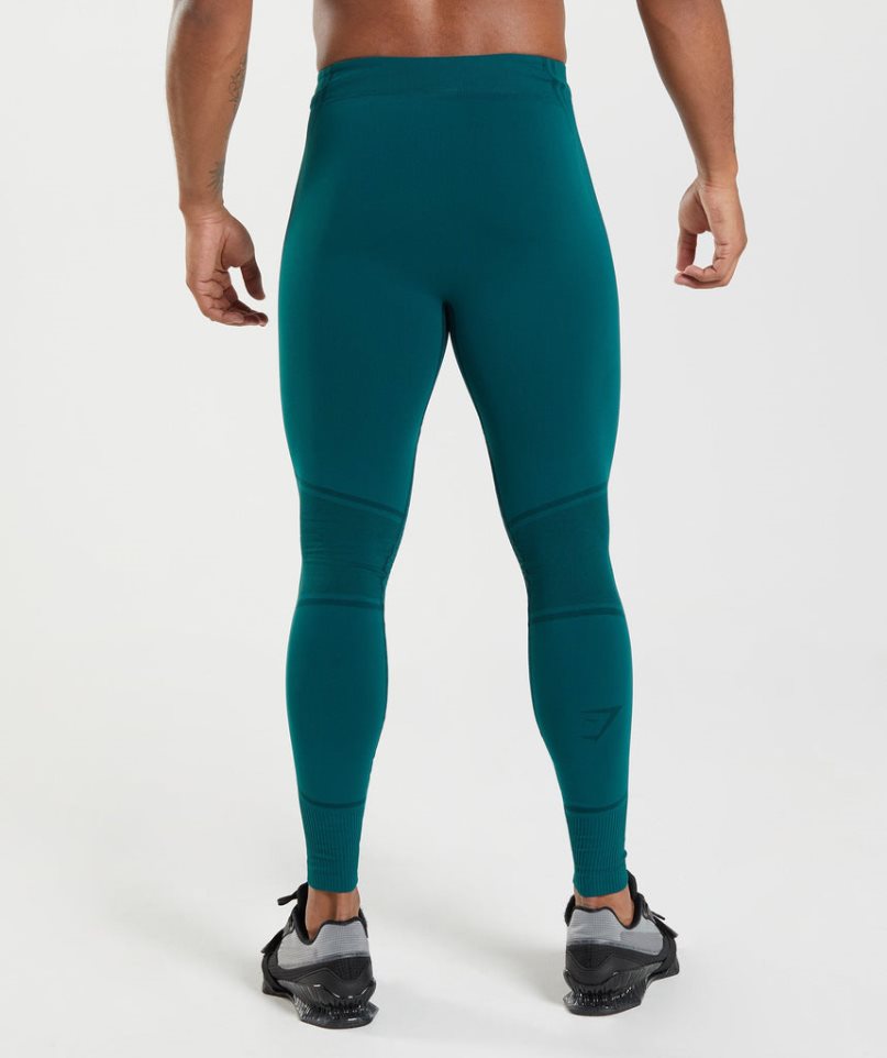 Gymshark 315 Seamless Leggings Herren Türkis | 49317NWGM