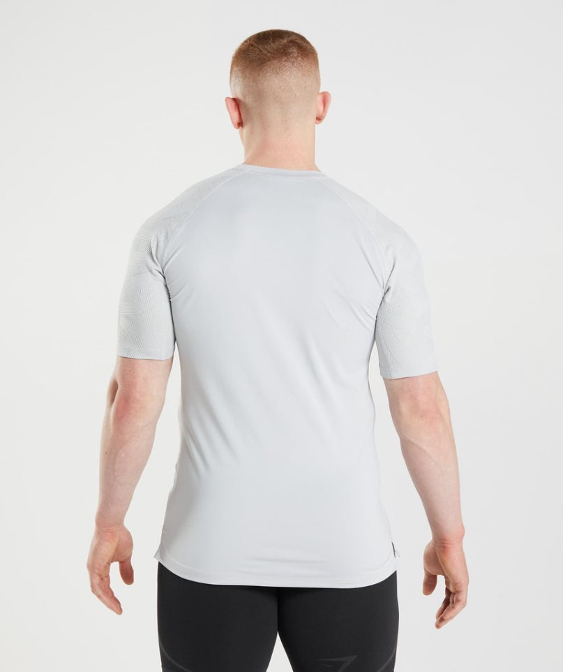 Gymshark 315 T-shirts Herren Hellgrau | 84705KCAD