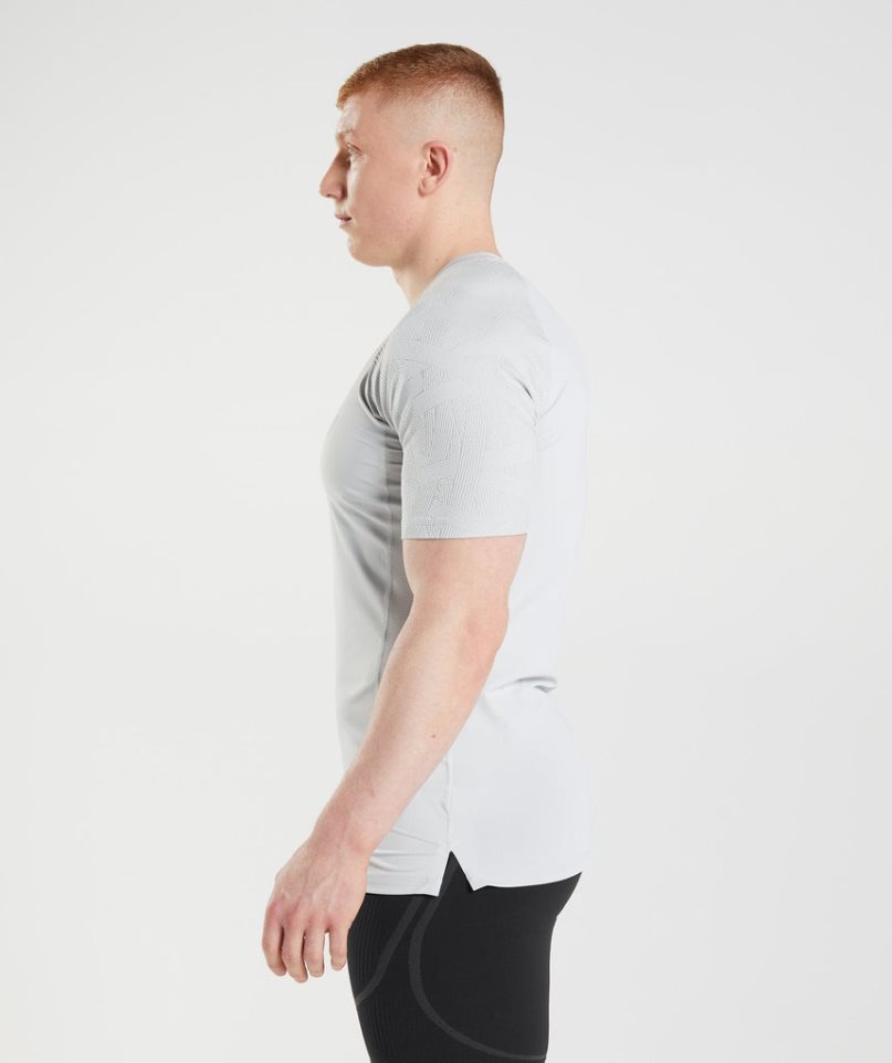 Gymshark 315 T-shirts Herren Hellgrau | 84705KCAD