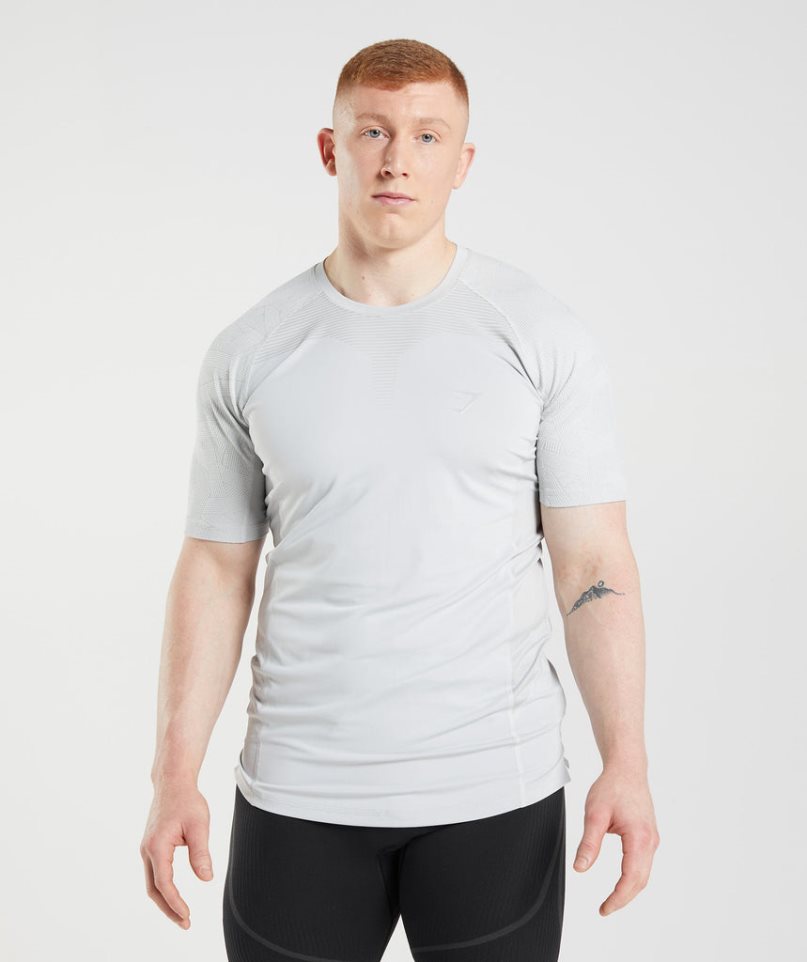 Gymshark 315 T-shirts Herren Hellgrau | 84705KCAD