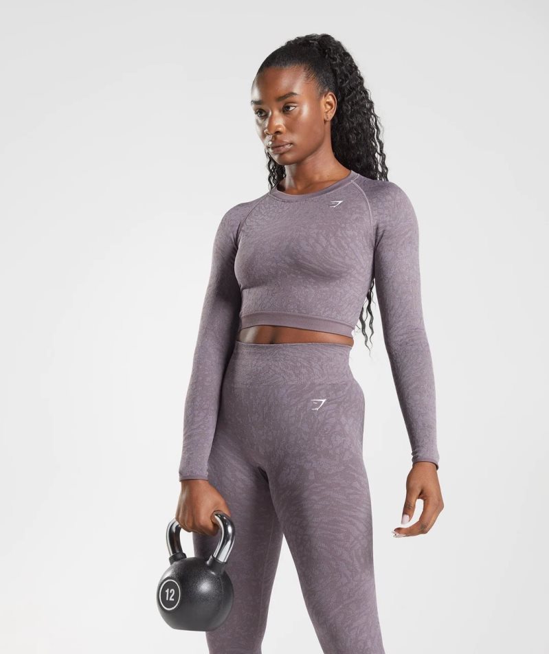 Gymshark Adapt Animal Seamless Spitze Up Back Kurz Geschnittene Oberteile Damen Lila | 18094PQNJ