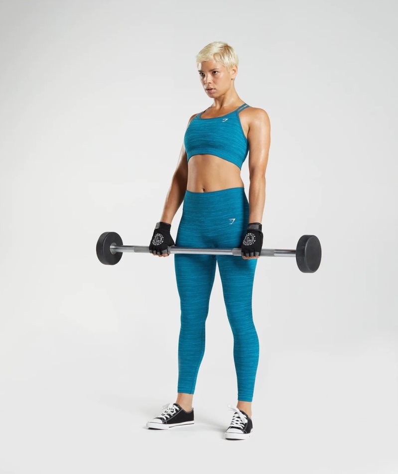 Gymshark Adapt Marl Seamless Leggings Damen Blau | 07149TYMJ