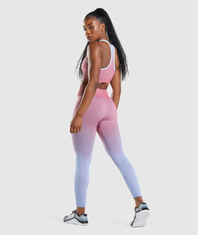 Gymshark Adapt Ombre Seamless Leggings Damen Rosa Hellblau | 03462NSZD