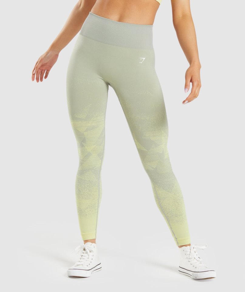 Gymshark Adapt Ombre Seamless Leggings Damen Mintfarben | 32451PAUY