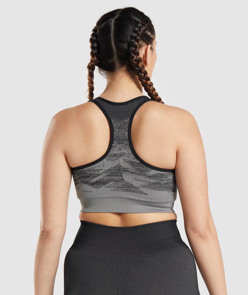 Gymshark Adapt Ombre Seamless Sport Bh Damen Schwarz | 40157YPNR