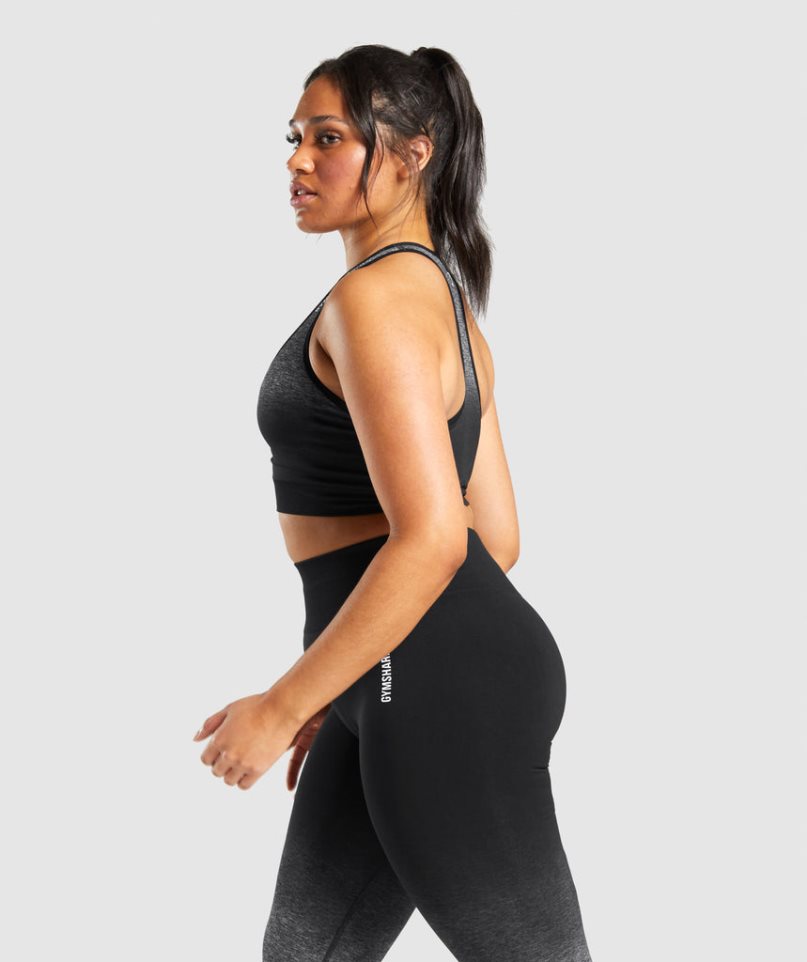 Gymshark Adapt Ombre Seamless Sport Bh Damen Schwarz | 79142VEJO