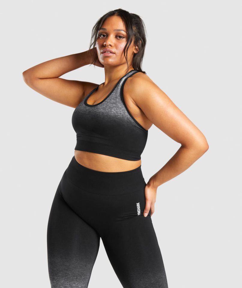 Gymshark Adapt Ombre Seamless Sport Bh Damen Schwarz | 79142VEJO