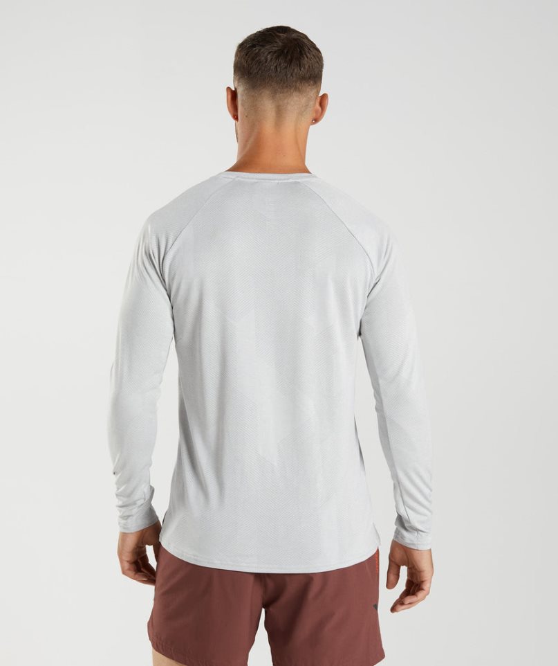 Gymshark Apex Long Sleeve T-shirts Herren Hellgrau | 30586KACE