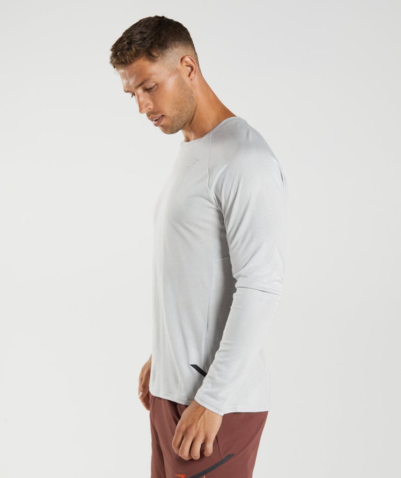 Gymshark Apex Long Sleeve T-shirts Herren Hellgrau | 30586KACE