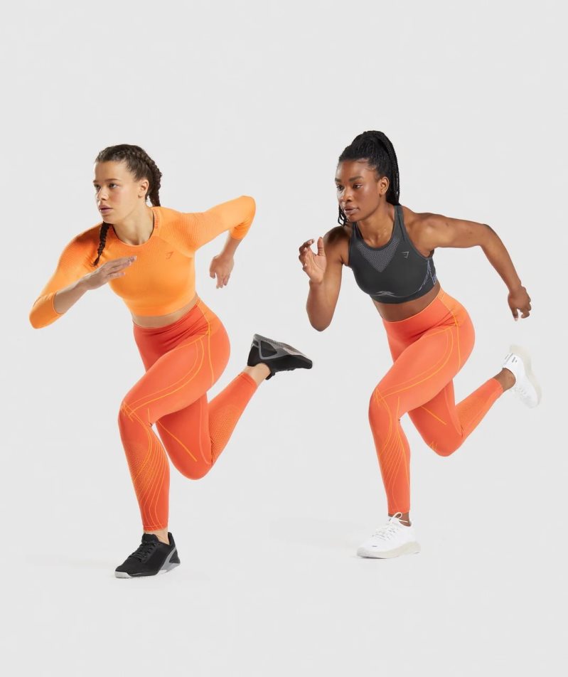 Gymshark Apex Seamless High Rise Leggings Damen Orange | 09842OAQY